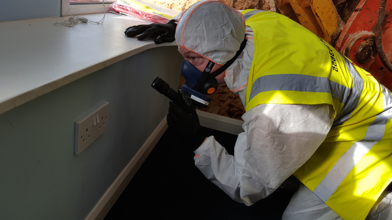 Asbestos Surveyor looking into a hole